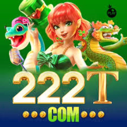 222T.com